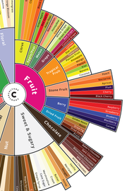 Close up image of the Counter Culture Coffee Taster's Flavor Wheel